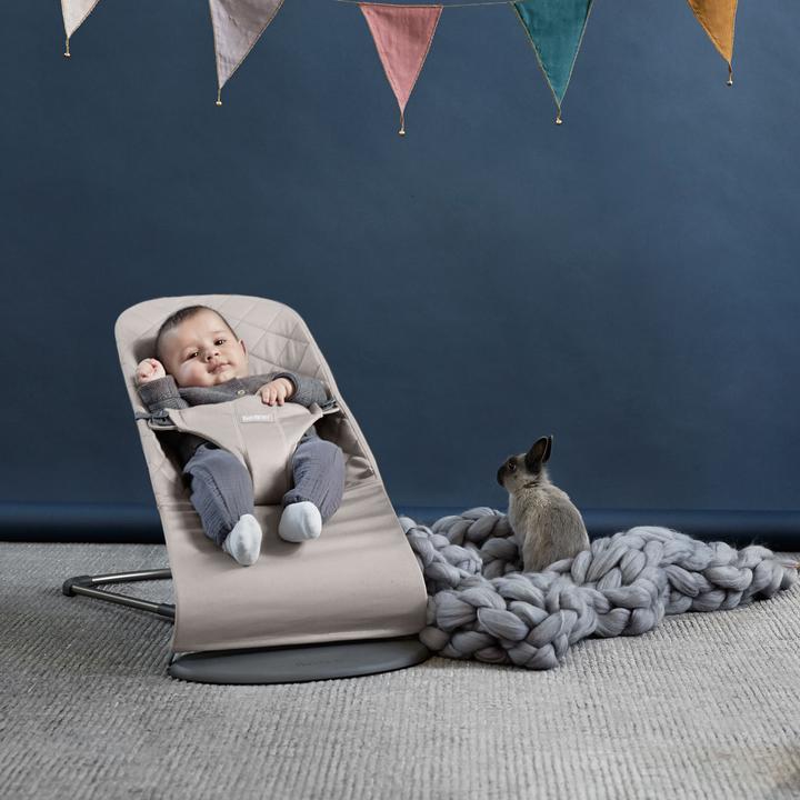 Produktbild BabyBjörn Bliss