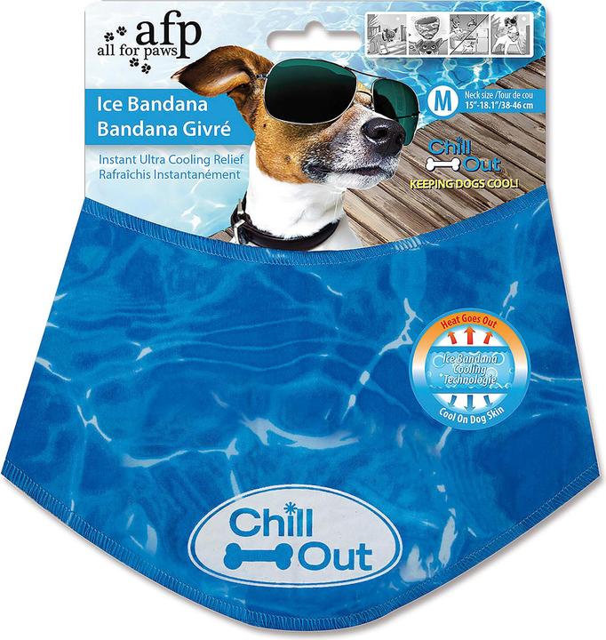 Dog clothing