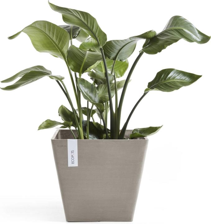 Produktbild Ecopots Rotterdam (50 cm)