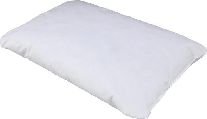 Albis Kissen Nemo 40 x 60 cm (40 x 60 cm)