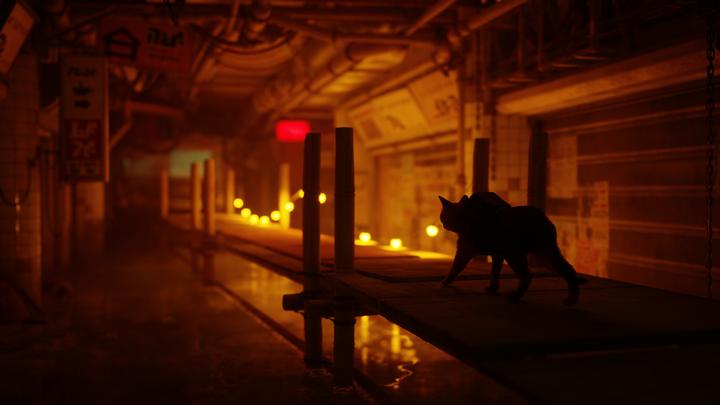 Image du produit Annapurna Interactive Stray (PS5, EN)