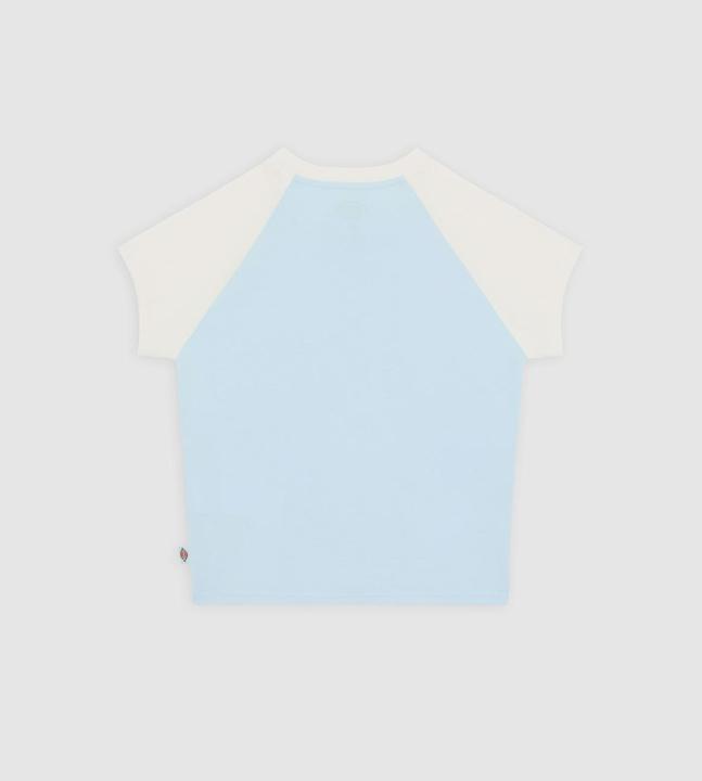 Actual product image Dickies Rope Ss Tee W Skyway (S)