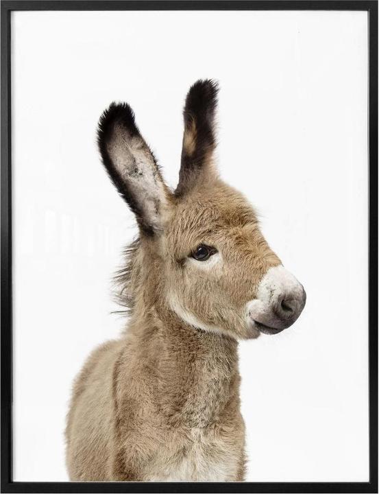 Produktbild Trenddeko Sisi & Seb - Baby Esel (50 x 60 cm)
