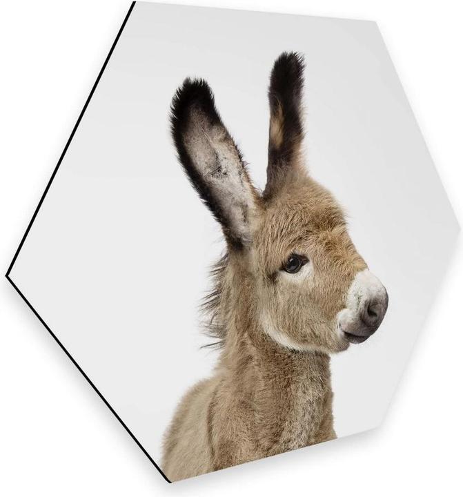 Produktbild Trenddeko Baby Esel (75 x 65 cm)