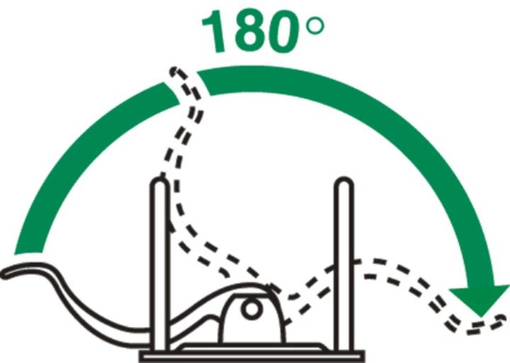 Image du produit Leitz Classeur en carton 180 (A4, 52 mm, 1 pièce(s))