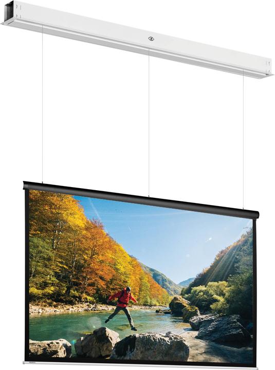 Actual product image Projecta DescenderPro (113.39", 4:3)
