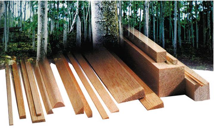 Immagine prodotto Aigner Balsa striscia di pino 8/10mm/1lfm