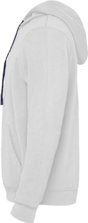 Actual product image Alpinia Mens Urban Hoodie (S)