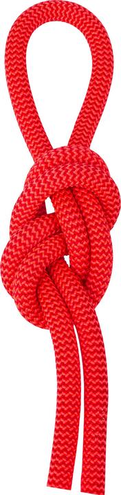 Actual product image Salewa Red 9.6 climbing rope (80 m)