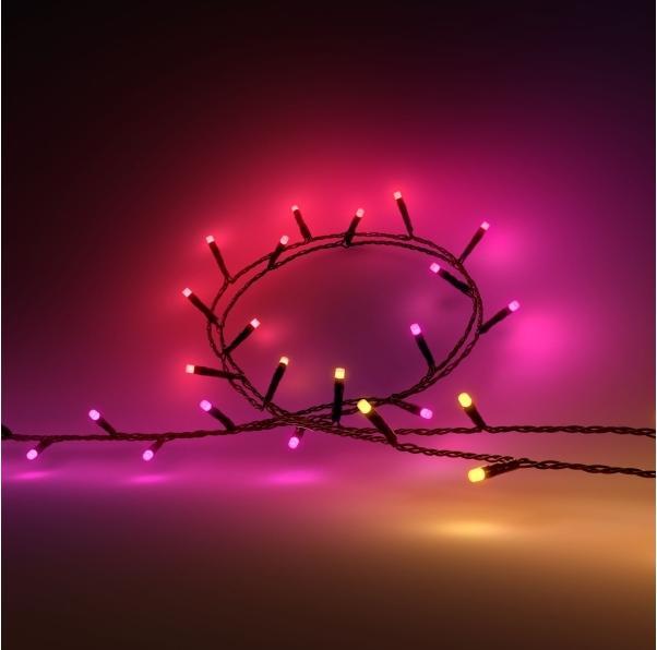 Productafbeelding Philips Hue Festavia (EU-stekker) (40 m)