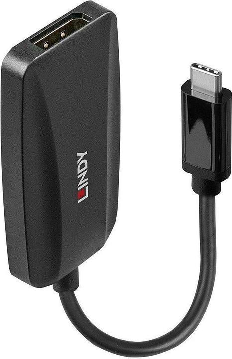 Actual product image Lindy USB Type C to DisplayPort 1.4 Converter Connects an 8K display with DP connector to the USB Type... (USB-C, 13 cm)