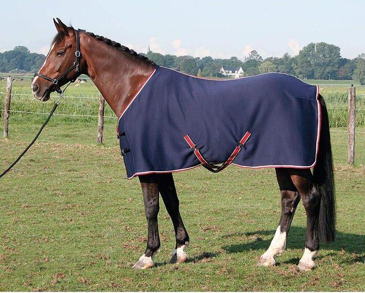Actual product image Harry's Horse Cooling Rug in Jersey (195 cm)