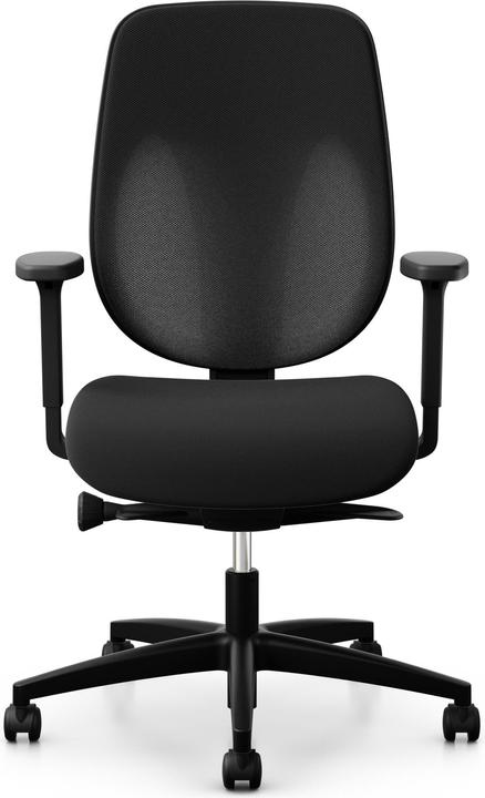 Actual product image Giroflex Xtreme