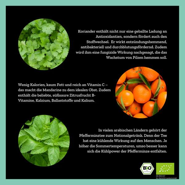 Actual product image Urban Tea Factory Mighty Mint Lover - Mint tea blend with mandarin - organic glass