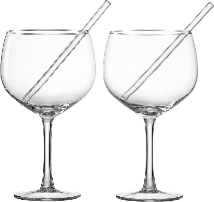 Actual product image Ritzenhoff & Breker Ginglass with straws set of 2 (6.50 dl, 4 x, Gin glasses)