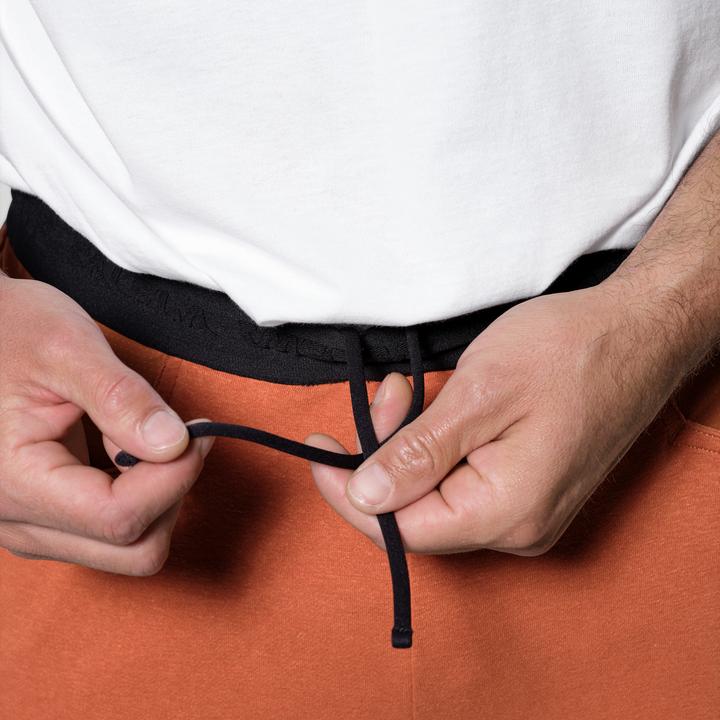 Immagine prodotto Salewa Agner Hemp Shorts M (48)