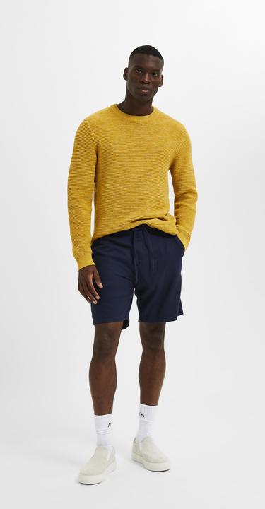 Image du produit Selected Homme Short Comfort Fit (XS)