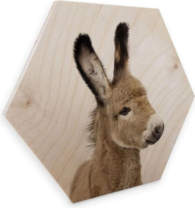 Produktbild Trenddeko Baby Esel (75 x 65 cm)