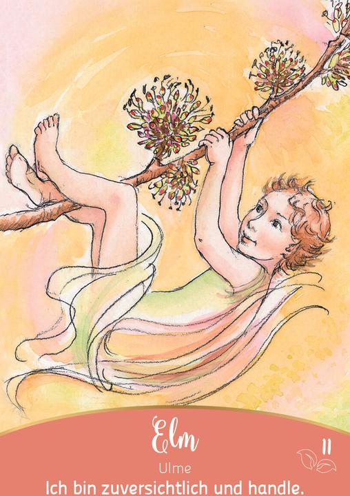 Produktbild Bachblüten-Botschaften - Wie die Seelenpflanzen dir helfen (Deutsch, Irene Drexler, 2024)