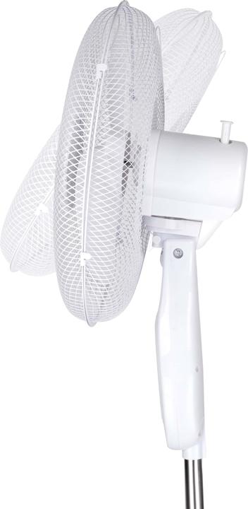Actual product image Lifetime Air Fan Standing