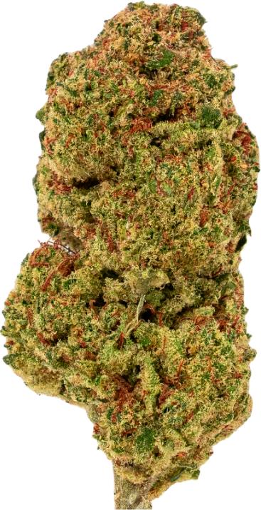 Produktbild Green Passion Maui Wowy (10 g, Indoor)
