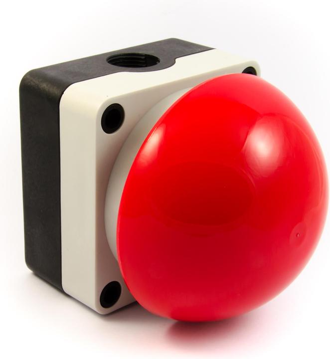 Actual product image Purecrea Buzzer