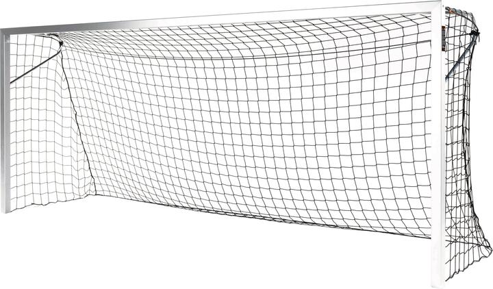 Sport-Thieme Jugend-Fussballtor BlueGoal