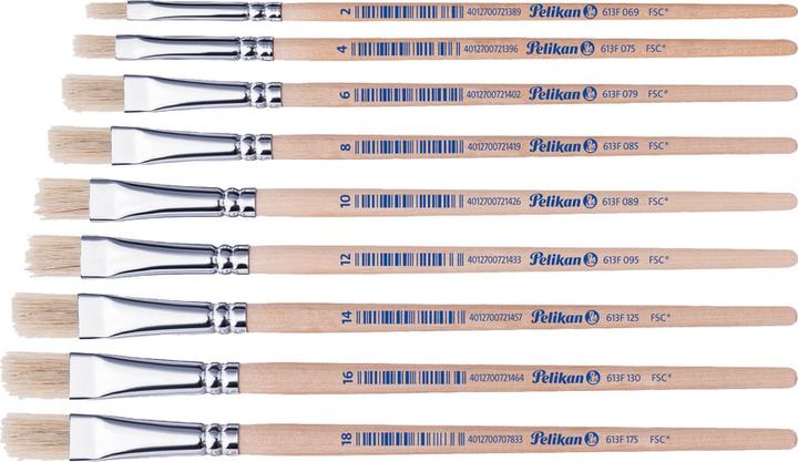 Productafbeelding Pelikan Borstelsoort 613F (18 mm)