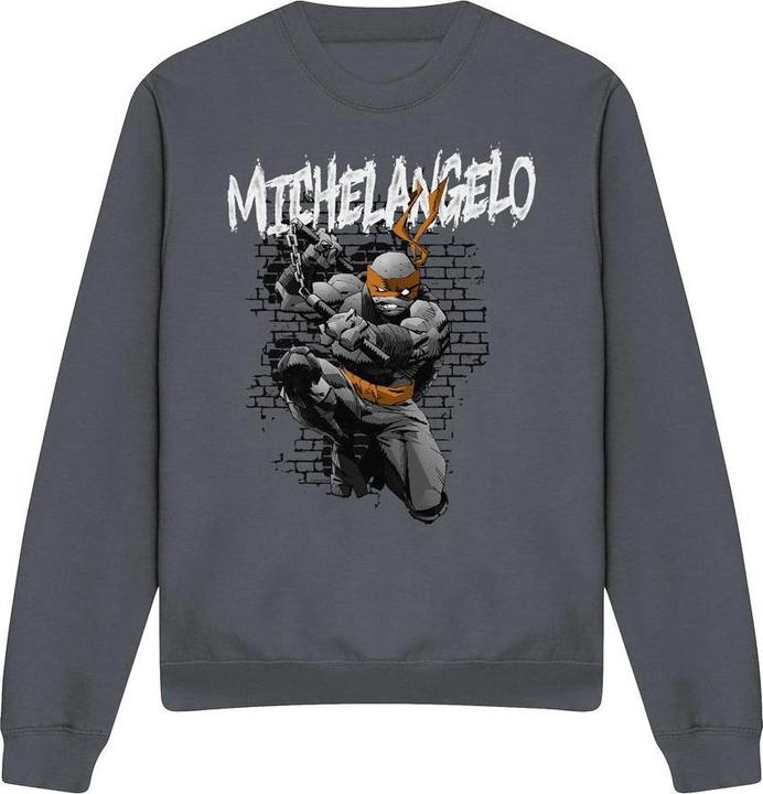 Produktbild Teenage Mutant NT Sweatshirt (M)