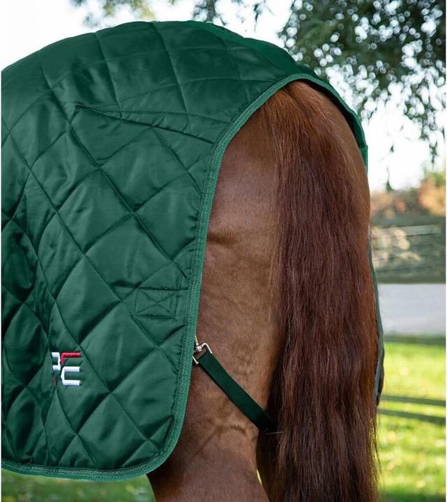 Immagine prodotto Premier Equine Tuscan 200 g (160 cm)