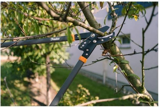 Productafbeelding Bradas Snoeischaar voor takken met V-SERIES versnelling Aambeeldblad