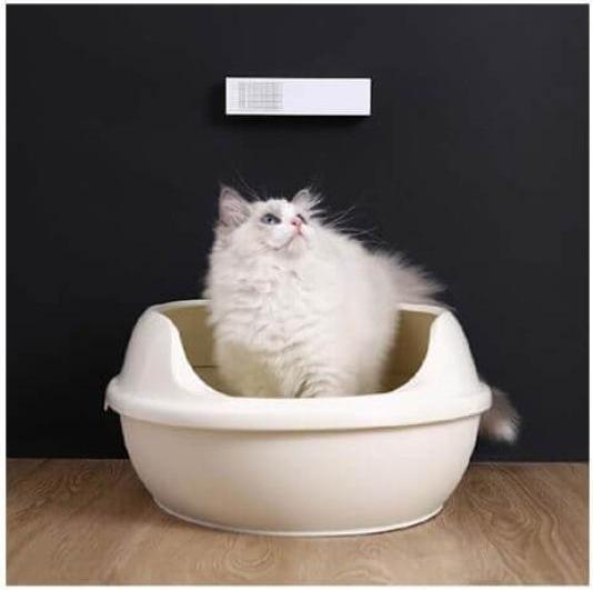 Actual product image Petkit Pura Air Smart Odor Eliminator (Dog, Cat)