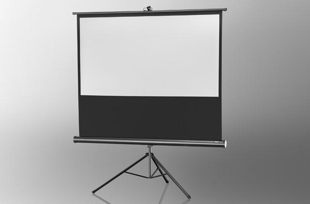 Actual product image Celexon Economy (86", 4:3)
