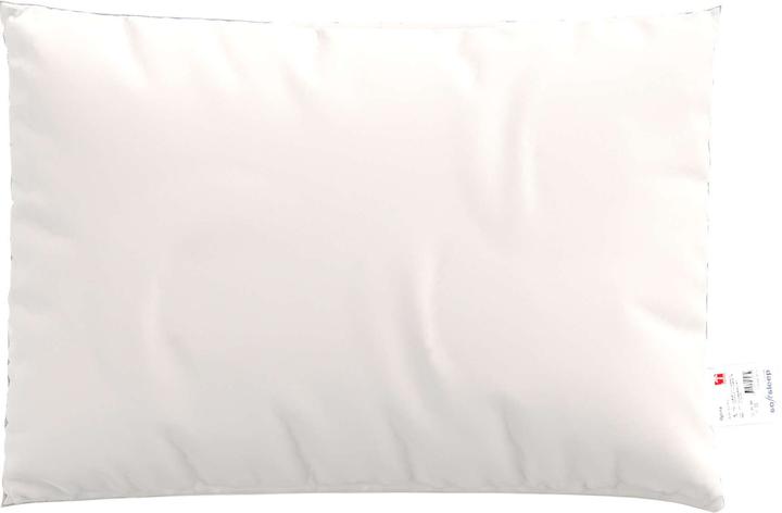 Produktbild softsleep Pfulmen Prestige Gänse (65 x 65 cm)