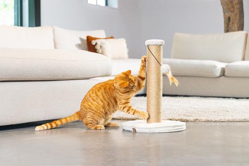Actual product image Designed by Lotte Scratching post (50 cm, Light grey)