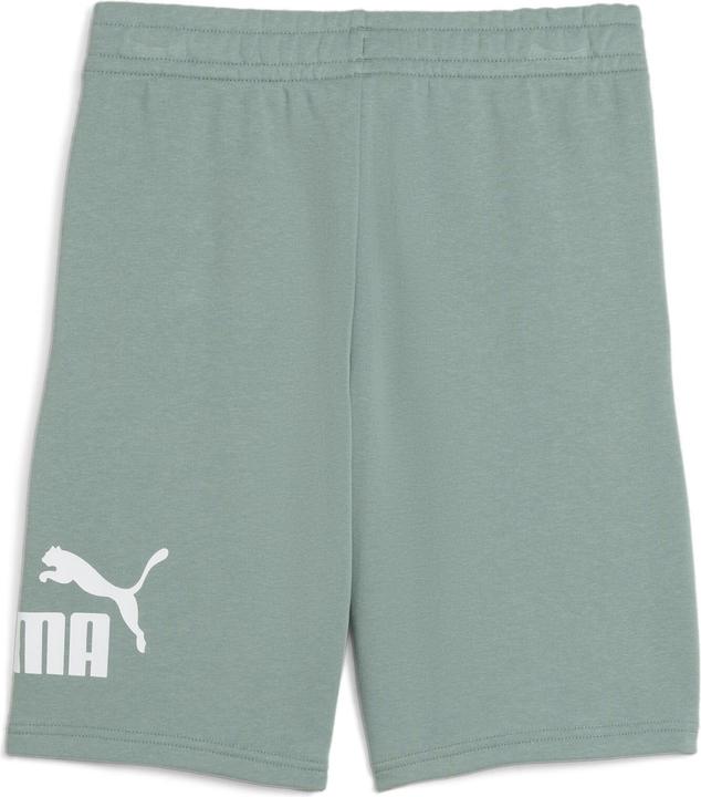 Produktbild Puma ESS No. 1 Logo Shorts TR B (164)