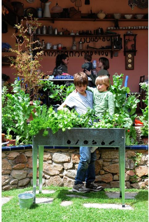 Actual product image Herstera Urban Garden