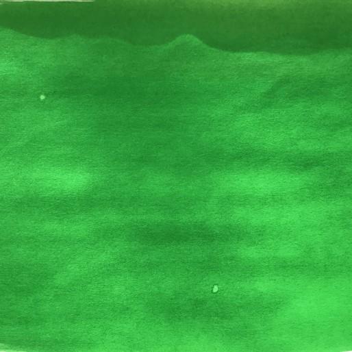 Actual product image Pebeo Colorex water ink (oriental green, 45 ml)