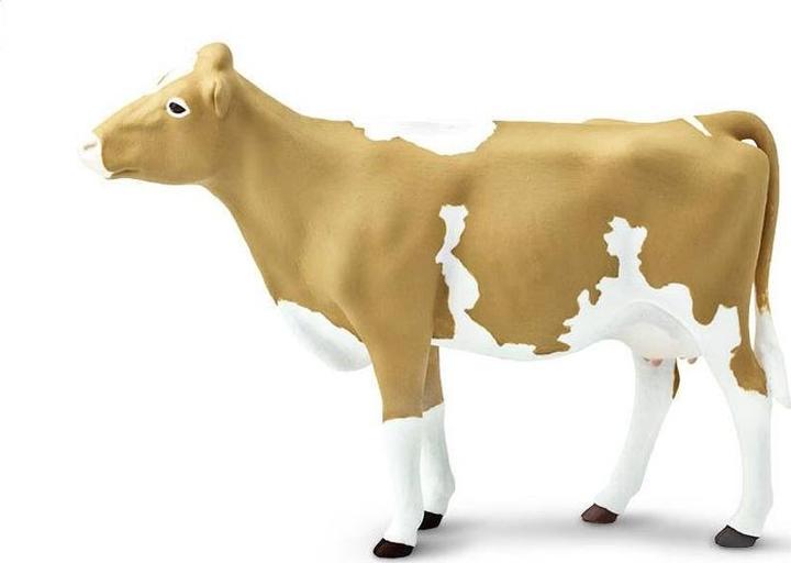 Produktbild Safari Guernsey-Rind