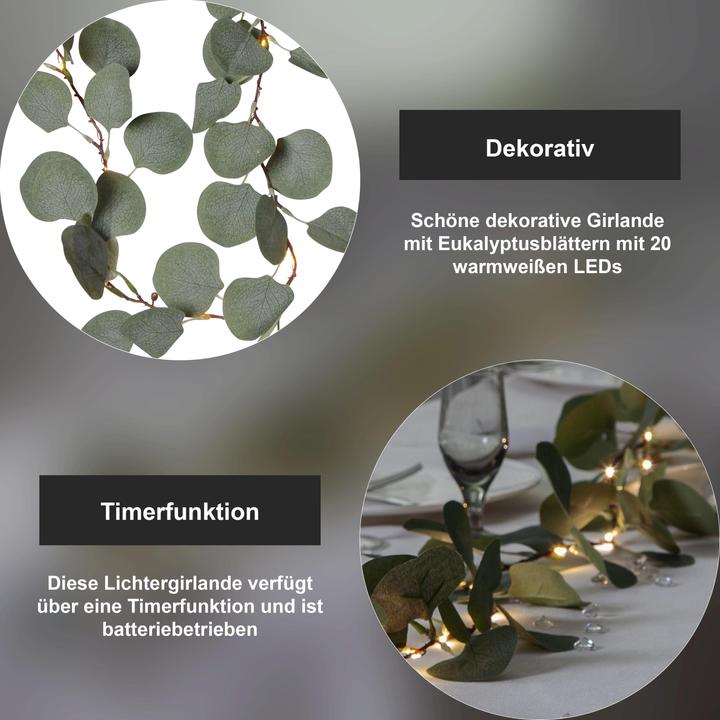 Actual product image Star Trading Eucalyptus (1.80 m)
