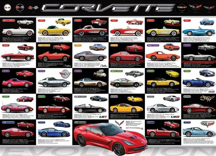 Image du produit Eurographics Evolution der Covettes (1000 pièces)