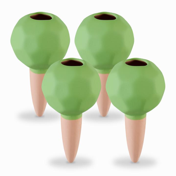 Verde, Cotto