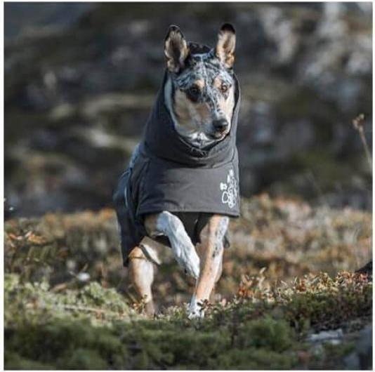 Produktbild Hurtta Extreme Warmer (55, M, Hundemantel)