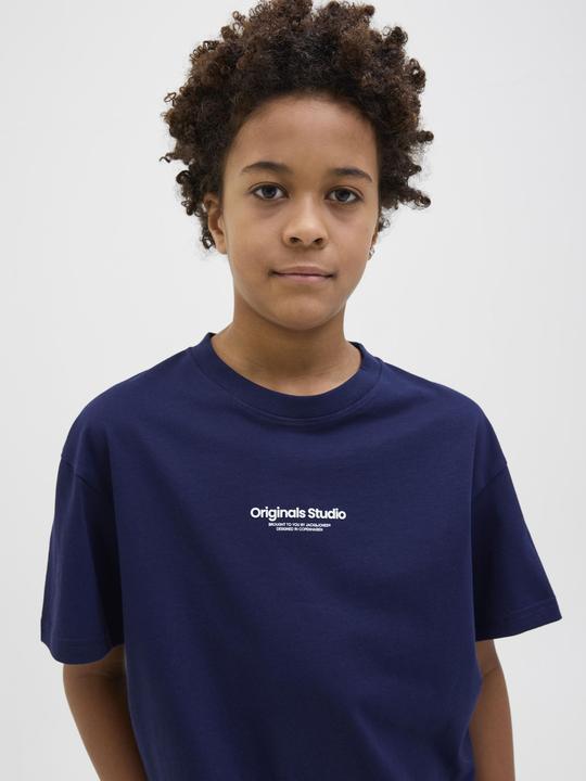 Produktbild Jack & Jones Jorvesterbro Tee Ss Crew Neck Noos Jnr (152)