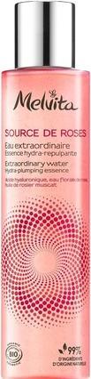 Produktbild Melvita Nectar de Lumiere Créme Perfectrice Eclat 50 ml (50 ml, 24h Creme)