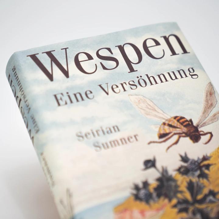 Image du produit Wespen – Eine Versöhnung (Allemand, Andrea Schmittmann, Seirian Sumner, 2023)