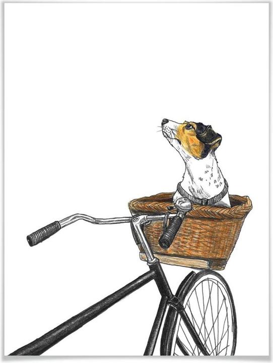 Produktbild Trenddeko Hund im Korb (80 x 100 cm)