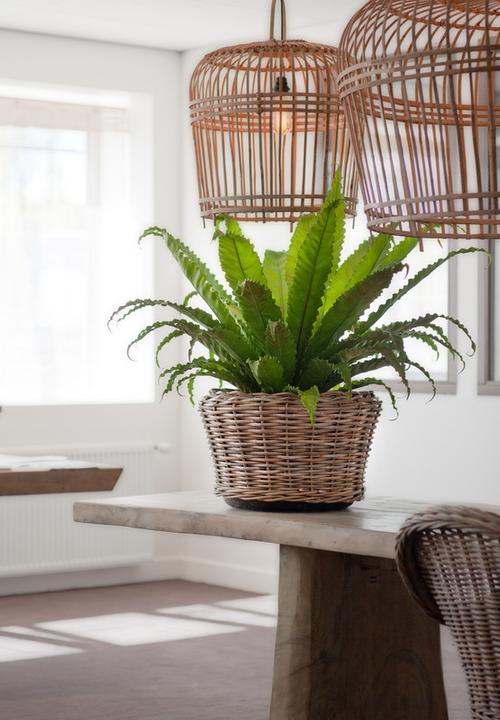 Actual product image Van der Leeden Bali (65 cm)