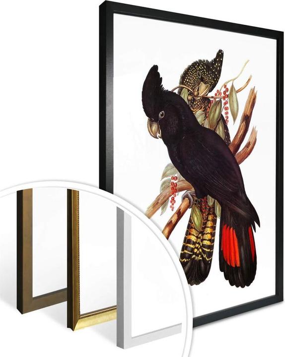 Actual product image Trenddeko Black cockatoo (60 x 80 cm)