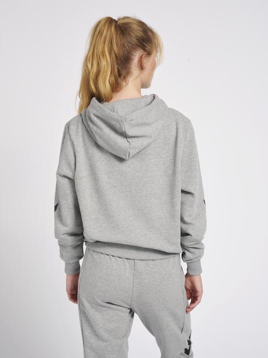 Actual product image hummel Legacy Graham Hoodie (XS)